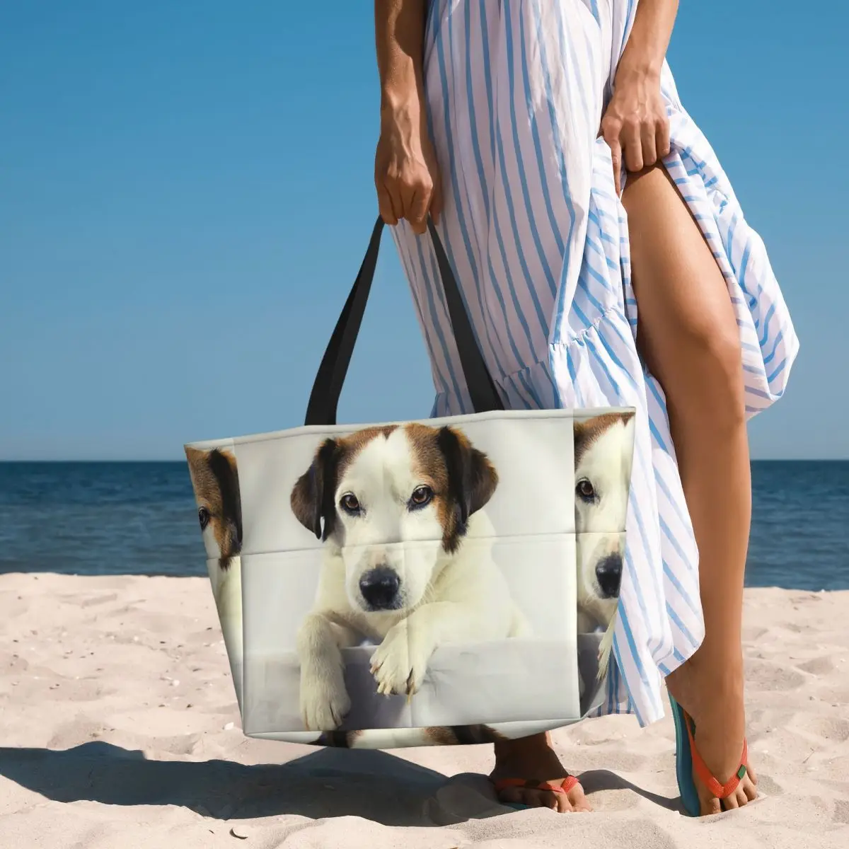 Bolso de mano con foto de perr - Yoga Fitness Photos reseña y precio